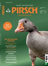Pirsch