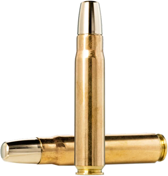 10 Norma .500 JEFFREY Solid - 35,0g / 540grs