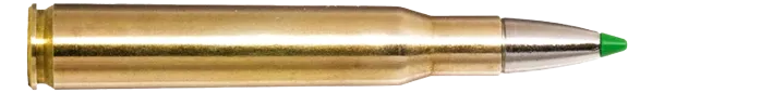 20 Norma .30-06 Ecostrike Silencer 9,7g-150gr/Bleifrei Patronen