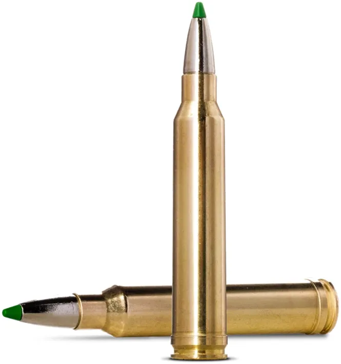 20 Norma .300WinMag Ecostrike 10,7g-165 grain / Bleifrei