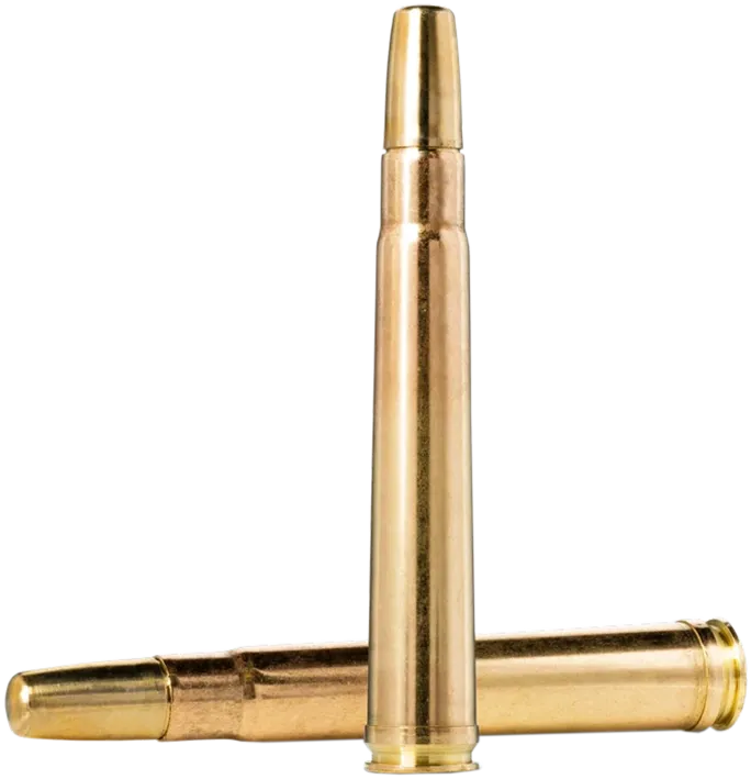 10 Norma .375 H&H - Solid 19,4g / 300gr