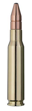 20 RWS .308 WIN DK 10,7g
