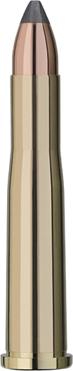 20 RWS .22 HORNET TM 3.0g