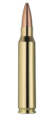 20 RWS .223 Rem Scorion 4,5g 69gr Matchpatronen HPBT