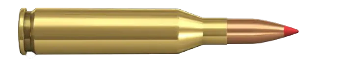 20 NORMA .243 WIN 75gr V-MAX 4,9g
