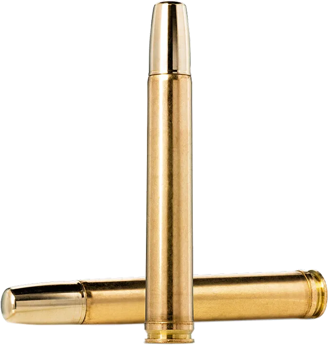 10 Norma .458 Lott Solid - 32,4g / 500grs