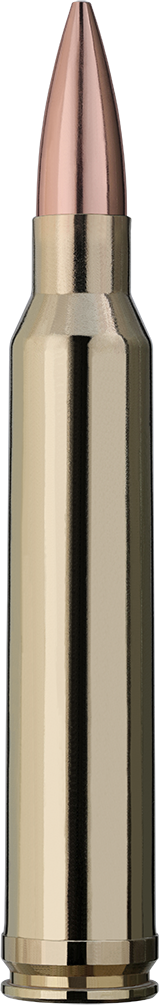 20 RWS .300WinMag. 12,3g Target Elite Plus SCORION 190