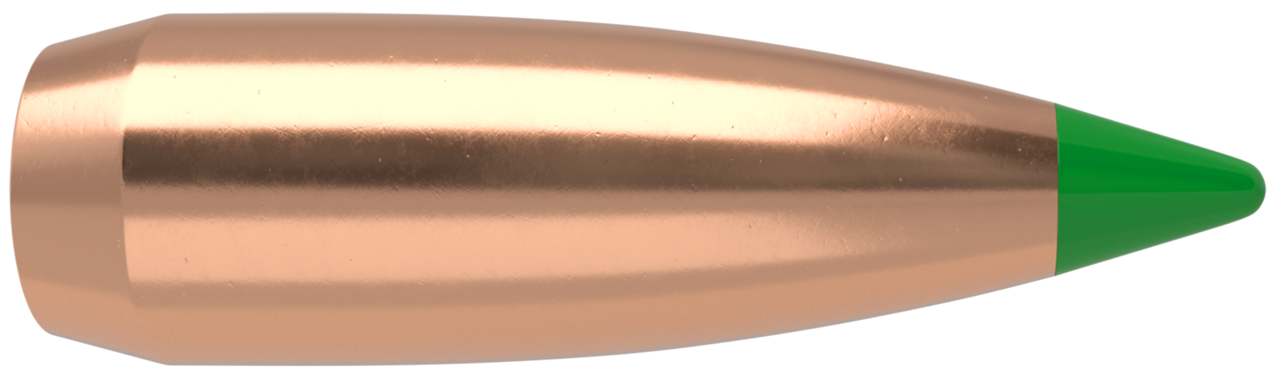 50 BALLISTIC TIP .30-125 Hunting