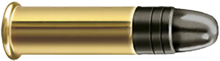 50 RWS .22lfb Biathlon Special Match 2,6 gramm