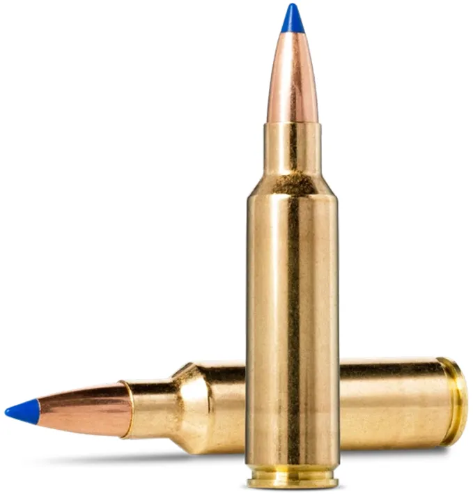 20 NORMA .300  WSM  Bondstrike 11,7g / 180grs