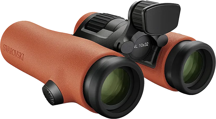 FERNGLAS NL PURE 8x32 burnt orange-schwarz