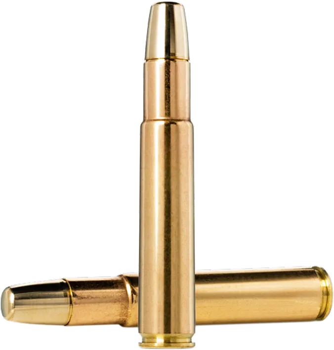 10 Norma .505 GIBBS  Solid - 35,0g / 540grs