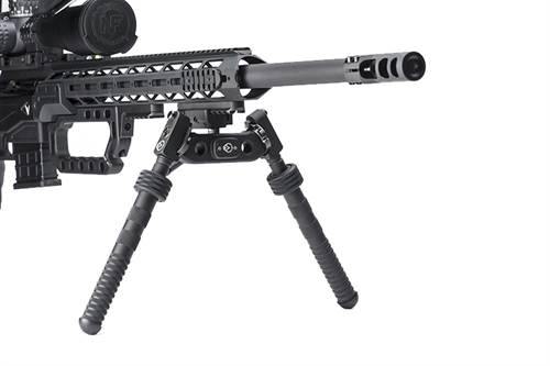 Victrix Bidpod Zweibein CALIGA CALIGA MAXIMO