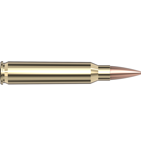 20 HORNADY  Patronen .223 Rem 75grs - BTHP Superformance