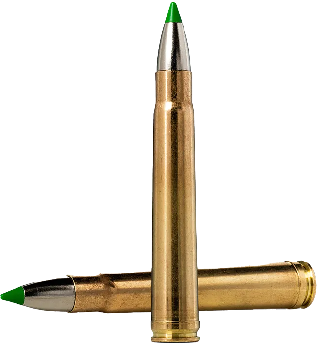 20 Norma  .375 H&H Ecostrike 16,2g / 250grs - Bleifrei Patronen Norma ecostrike