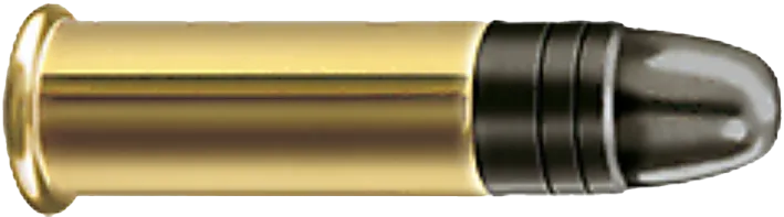 50 RWS .22lr Pistol Match