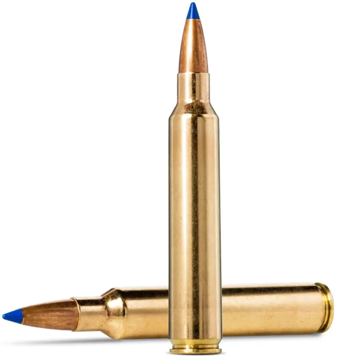 20 NORMA .300 RUM Bondstrike 11,7g / 180grs