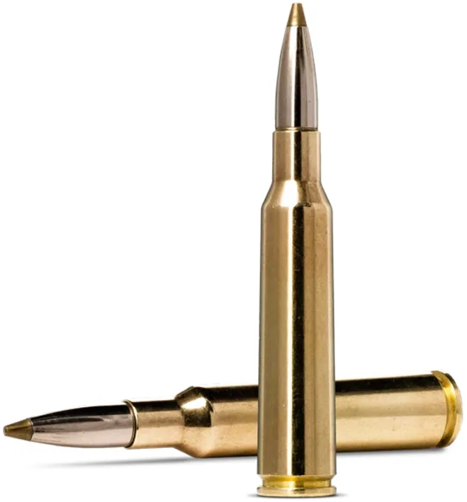 20 Norma 6,5x55 SE Evostrike 6,0g -93grain / Bleifrei Patronen Norma Evostrike