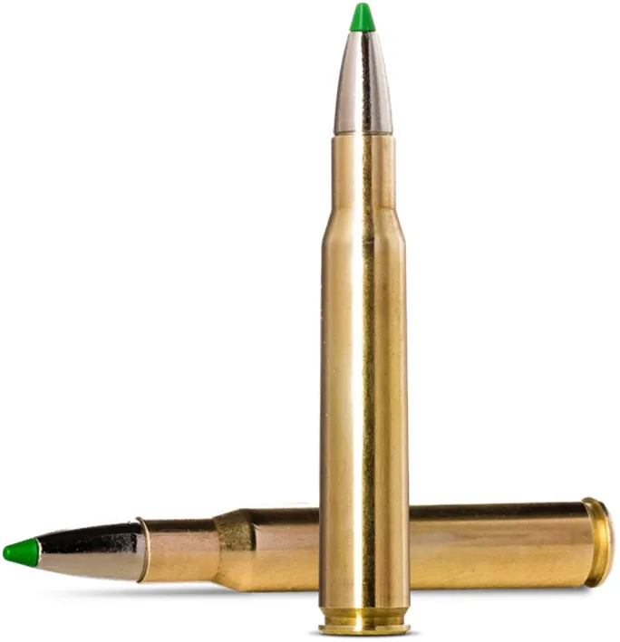 20 Norma .30-06 Ecostrike Silencer 9,7g-150gr/Bleifrei Patronen
