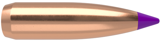 100 BALLISTIC TIP 6mm 80Grs Varmint