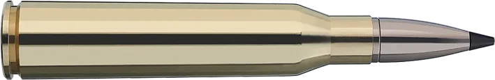 20 RWS .338 LAPUA 16,2g S-TIP  PRO