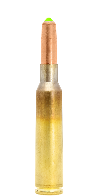 20 Lapua 6,5x55 Swedish 140grs Naturalis, 9,1g