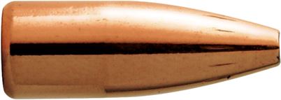 100 VARMINATOR .243-58grs BARNES