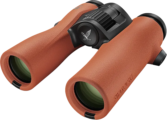 FERNGLAS NL PURE 8x32 burnt orange-schwarz