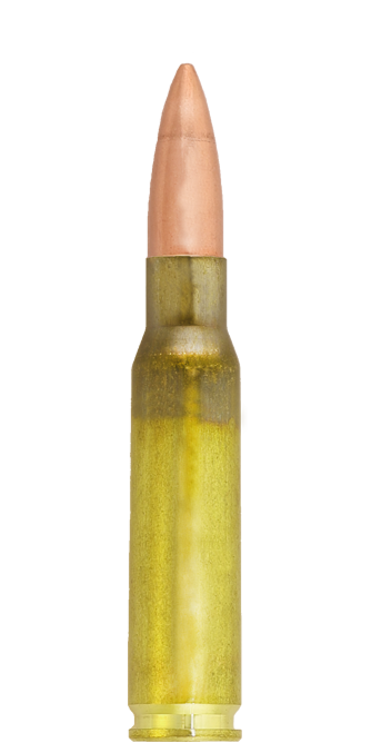 20 LAPUA .308 Win. 185grs JMJBT, 12,0g