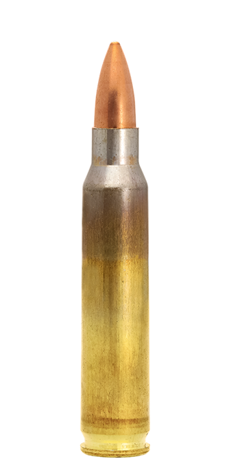 20 LAPUA .223 Rem 55grs FMJ, 3,6g