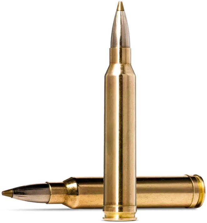 20 Norma .300 WinMag Evostrike 9,0g - 139grain / Bleifrei Patronen Norma Evostrike