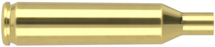 100 HÜLSEN .17 REMINGTON Nosler Messinghülsen