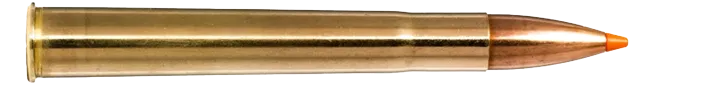 20 Norma 9,3x74 R Tipstrike 16,5g - 255grs