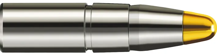 50 RWS 8mm 13,0 Gramm EVO GESCHOSSE