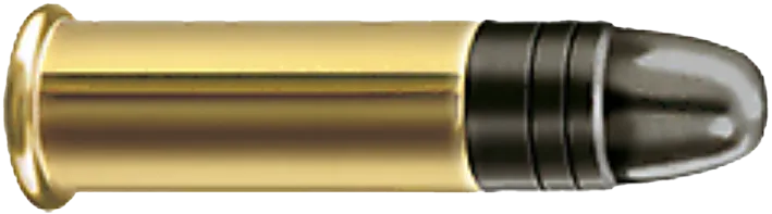 50 RWS .22lr Rifle Match