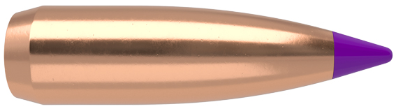 100 BALLISTIC TIP 6mm 70Grs Varmint Spitzer
