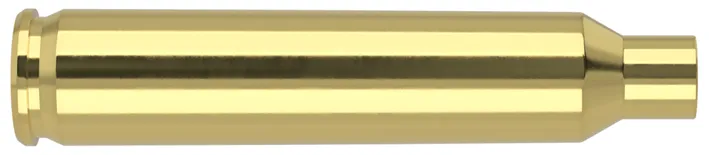 50 HÜLSEN .204 RUGER NOSLER Messinghülsen