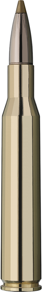 20 RWS .270Win Evo Green 6,2g bleifrei