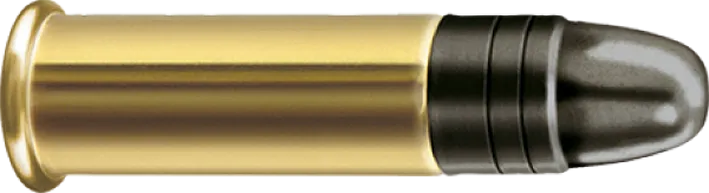 50 .22lr RWS Super Pistol 250