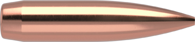 250 NOSLER 7mm-168 COMPETITION HP-BT .284