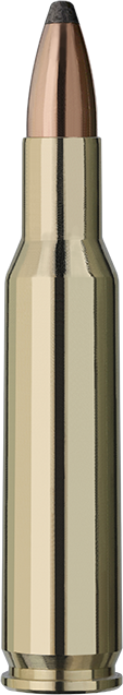 20 RWS .222 REM TM 3.24g