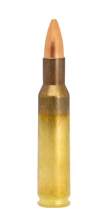 20 LAPUA .222 Rem 55grs FMJ, 3,6g