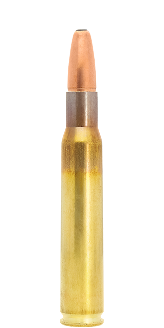 20 LAPUA .30-06 Springf. 185gr SP, 12,0g