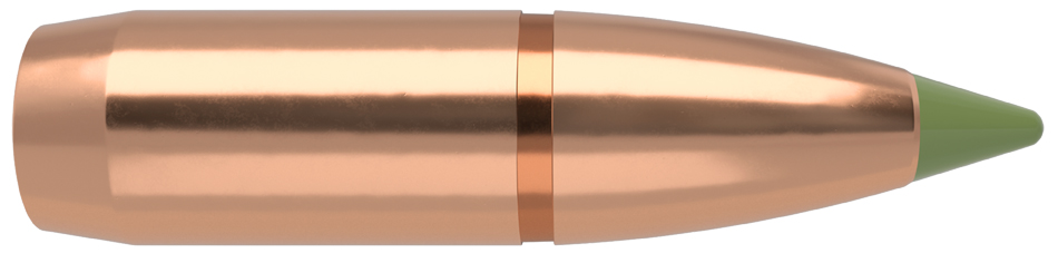50 NOSLER E-TIP 8mm S-180 bleifrei