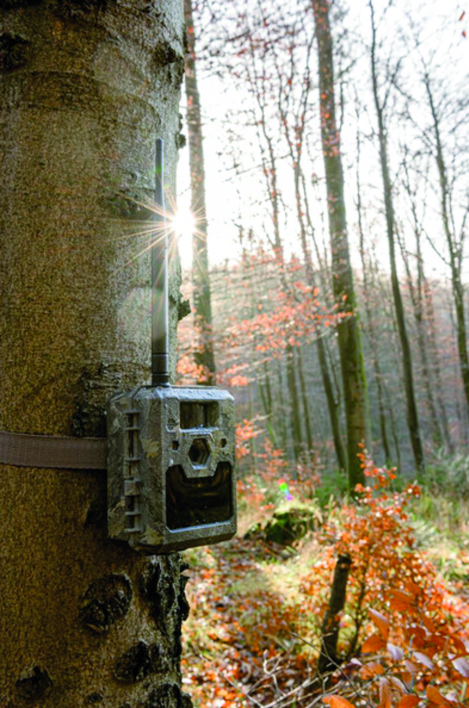 ICU 4G LTE Cam - Wildkamera