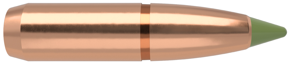 50 NOSLER E-TIP 7mm-140 grs bleifrei