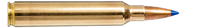 20 NORMA .300 RUM Bondstrike 11,7g / 180grs