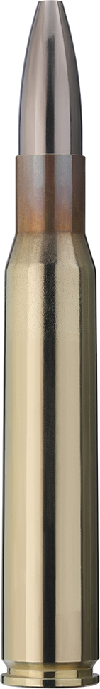 30 RWS Cineshot .30-06 147gr 9,5g