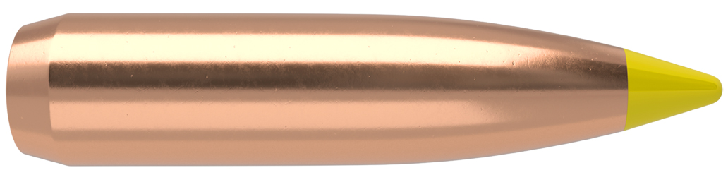 50 BALLISTIC TIP .270-140 Hunting