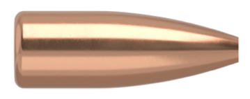 100 VARMAGEDDON .17 20grs FBHP Nosler